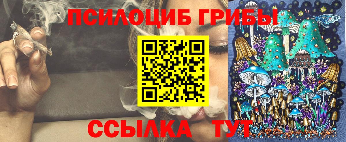 Псилоцибиновые грибы Magic Shrooms  Вход с VPN  Кувандык  Галлюциногенные грибы прущие грибы 